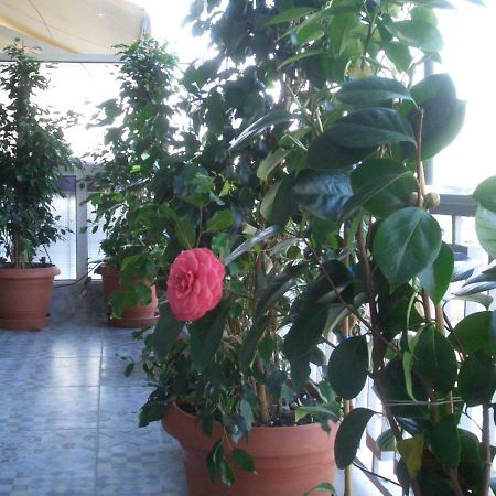 Athens Penthouse Cosy Apartment 외부 사진