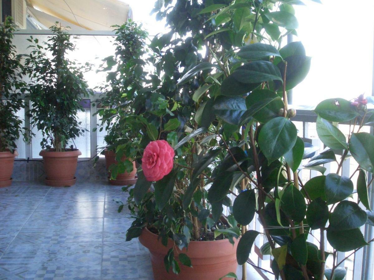 Athens Penthouse Cosy Apartment 외부 사진