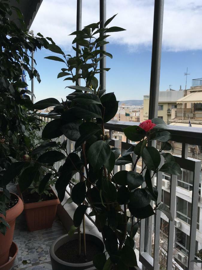 Athens Penthouse Cosy Apartment 외부 사진